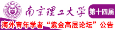 骚逼逼电影网南京理工大学第十四届海外青年学者紫金论坛诚邀海内外英才！